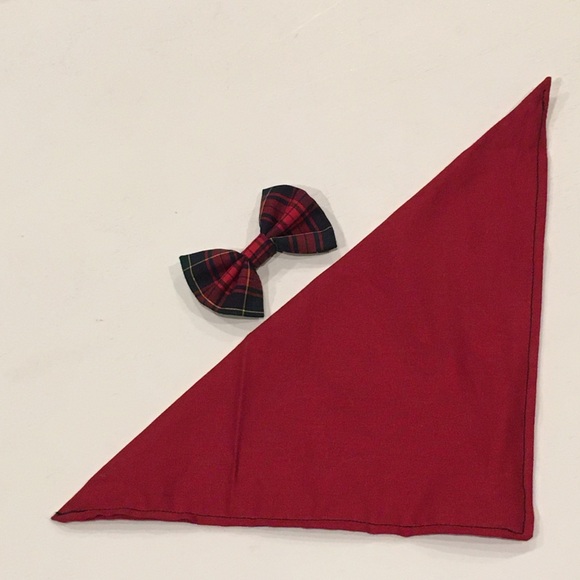 Reggie in Bowties | Pet Bandana In Red - Picture 2 of 12